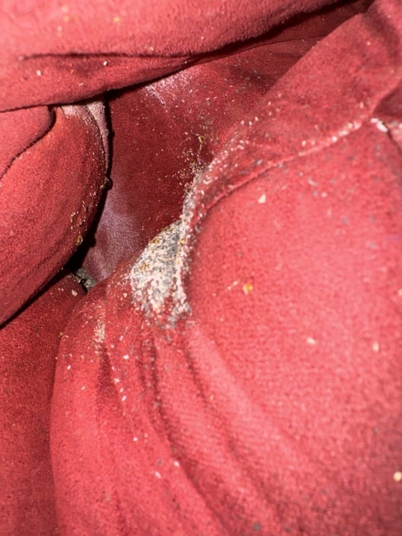 bed bug heat treatment recliner Nashville TN