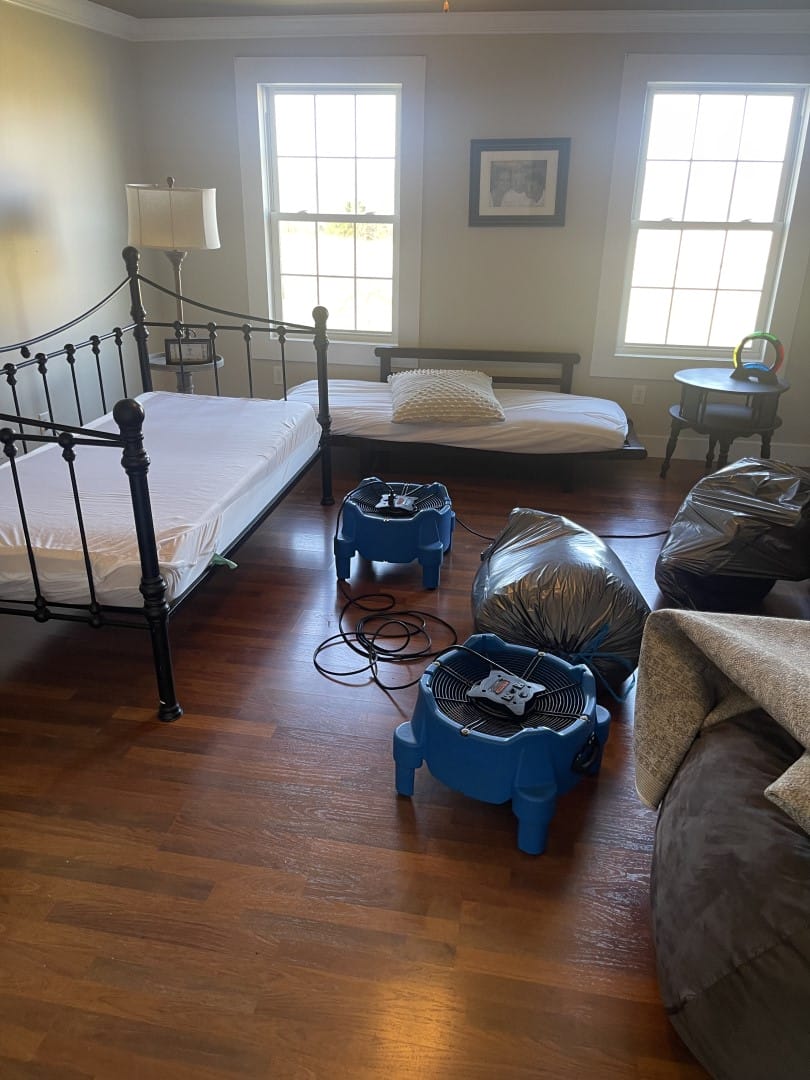 bed bug heat treatment in Nashville TN