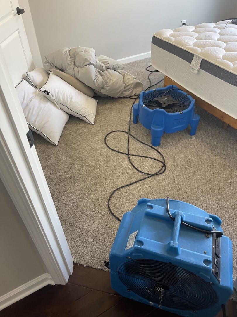 bed bug heat treatment Nashville TN