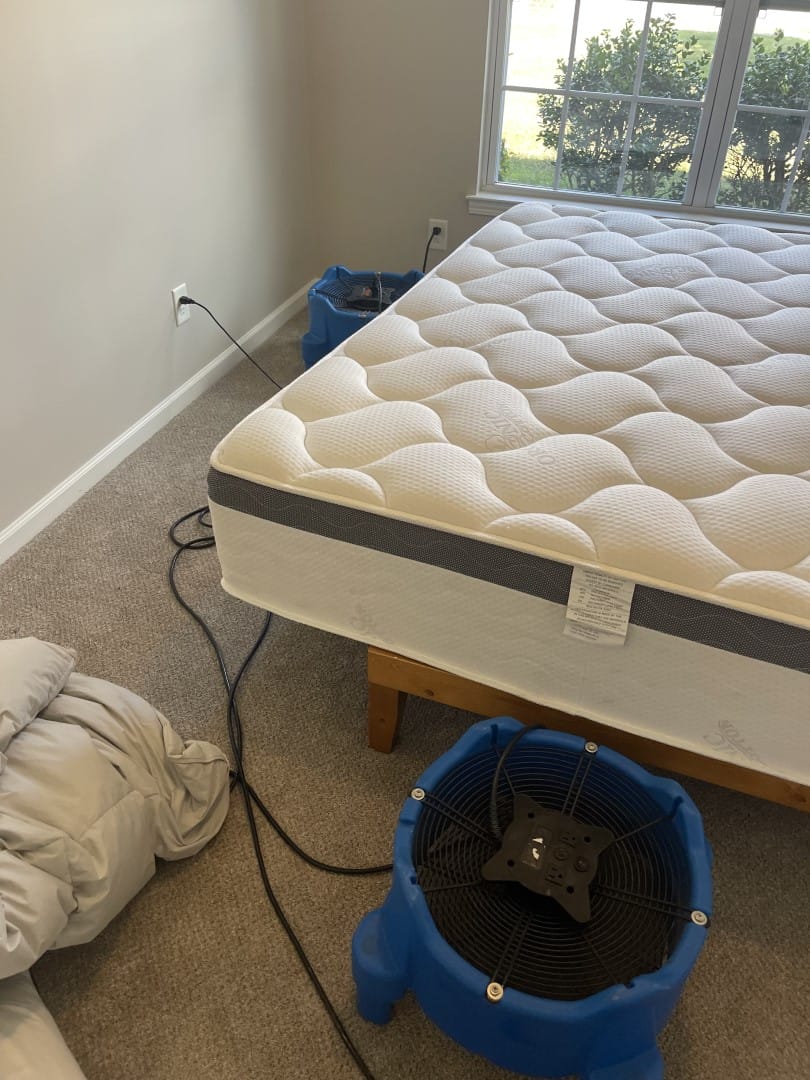 bed bug heat treatment Nashville TN