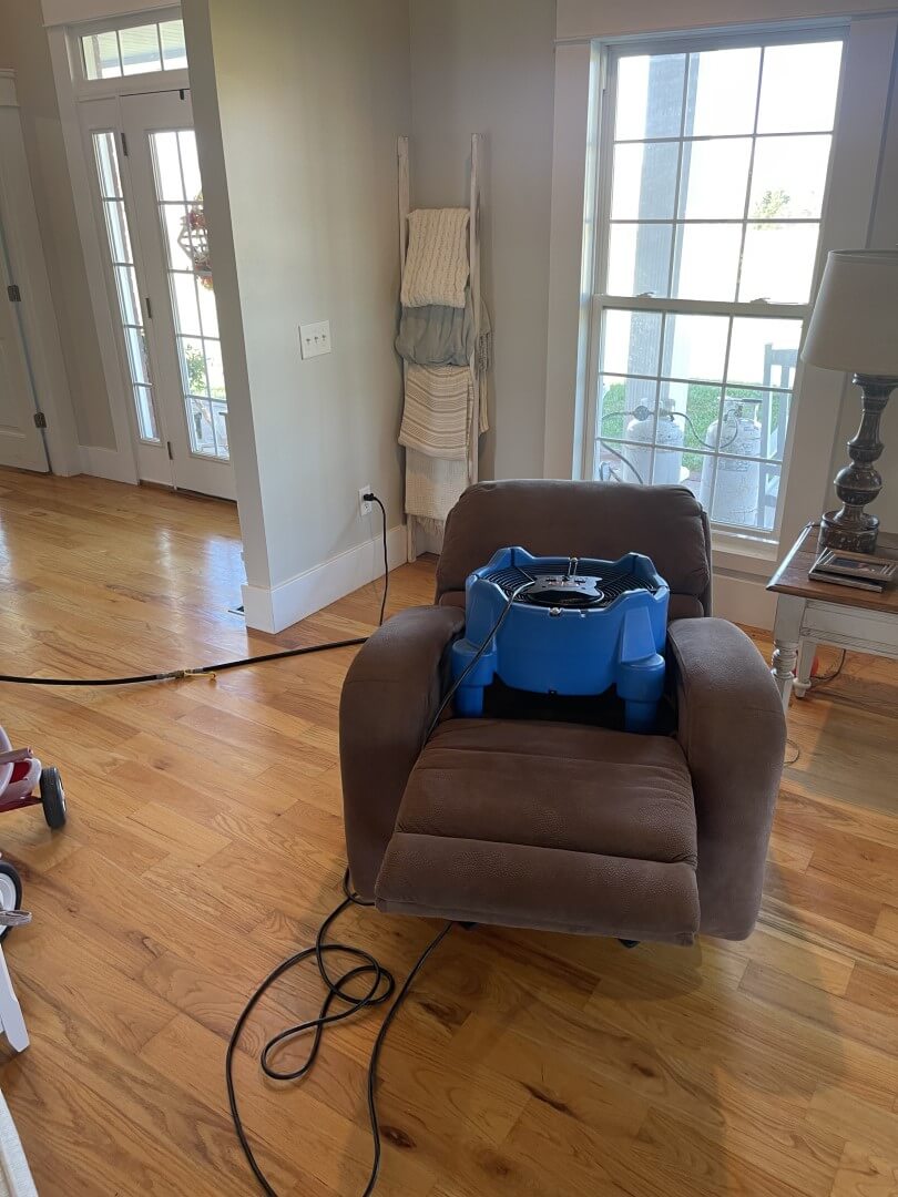 bed bug heat treatment in recliner