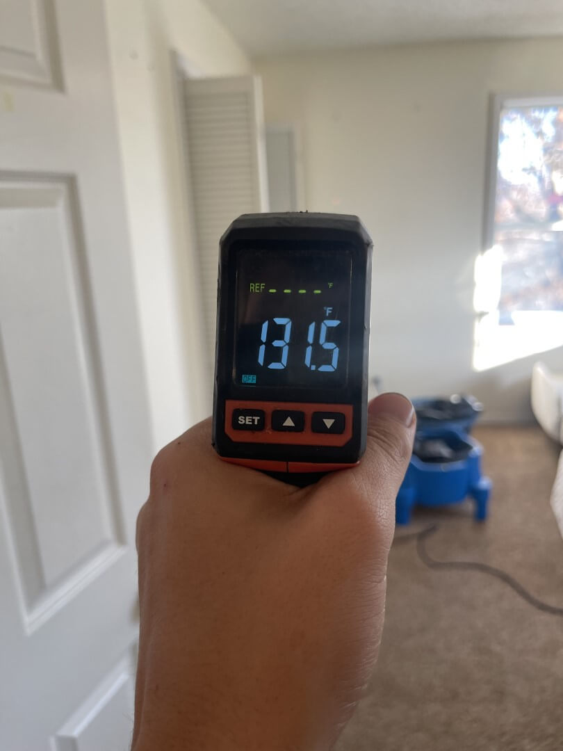 bed bug heat treatment thermal scan