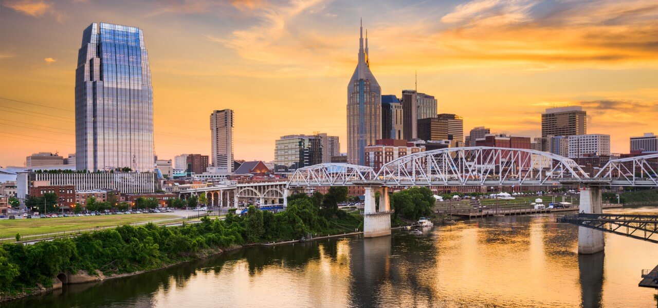 Bed Bugs Nashville TN